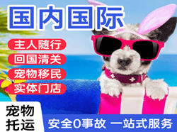 甘孜格萨尔航空物流国际宠物托运 【国